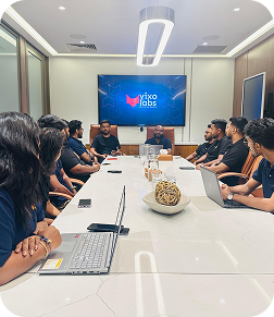 Vixo Labs